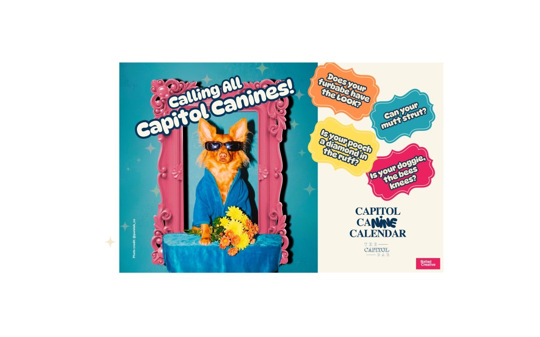 The Capitol Bar Pet Calendars