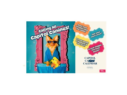The Capitol Bar Pet Calendars